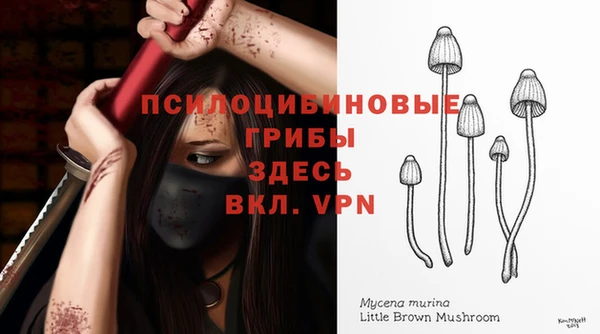 индика Алексеевка
