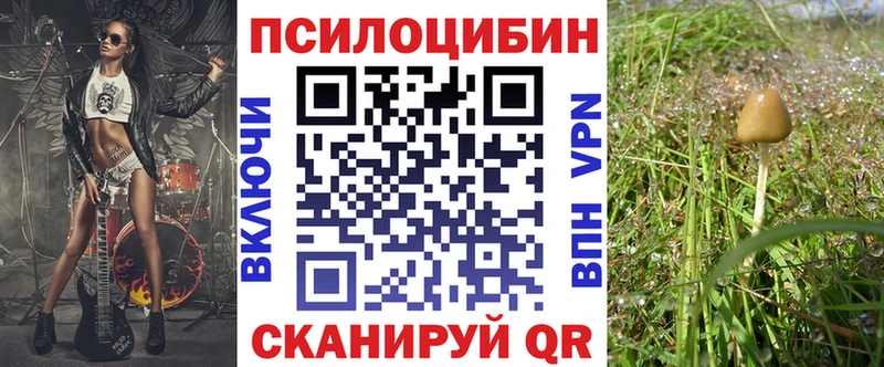 наркота  Губкин  Галлюциногенные грибы мухоморы 