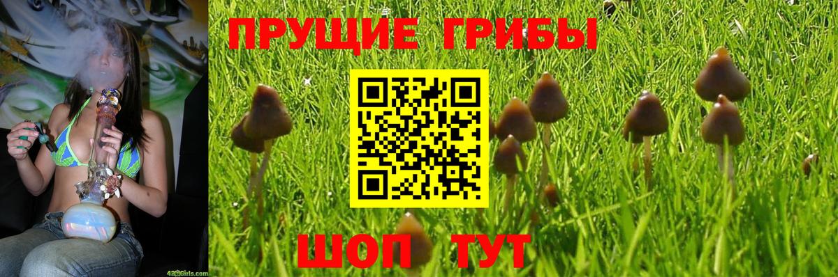 Губкин  Вход с VPN  Альфа ПВП СК   Марихуана  Меф кристаллы  Купить наркотик  ГАШИШ  Меф МЯУ МЯУ  Cocaine 