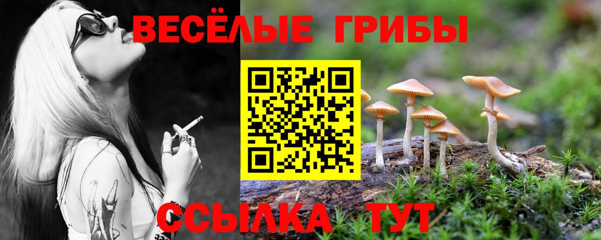 Псилоцибиновые грибы GOLDEN TEACHER Губкин