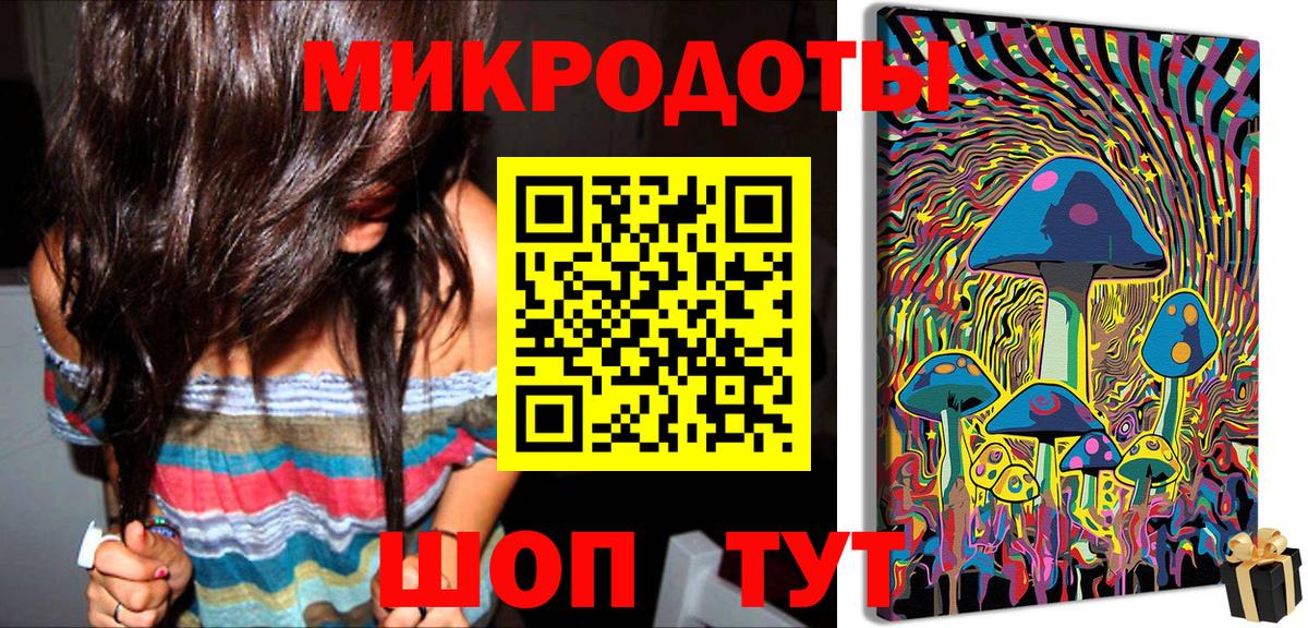 Псилоцибиновые грибы MAGIC MUSHROOMS  Вход с VPN  Губкин  где найти наркотики  Галлюциногенные грибы Psilocybe 